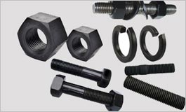 Carbon Steel Nuts Manufacturer