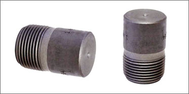 Stainless Steel Round Head Plug Manufacturer