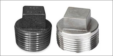 Stainless Steel Square Head Plug Manufacturer