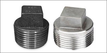 Stainless Steel Square Head Plug Manufacturer